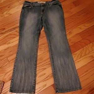 Ann Taylor loft curvy boot cut jean